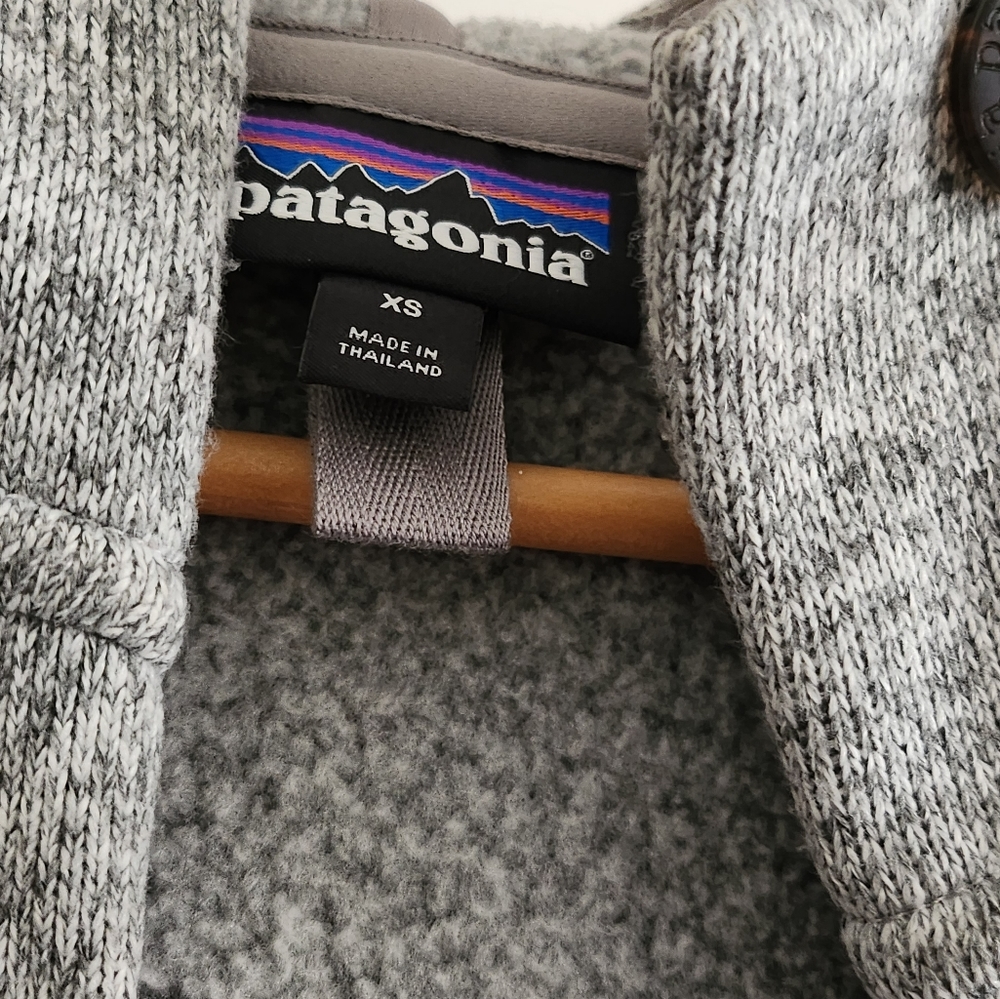 3/4 length gray hooded Patagonia jacket